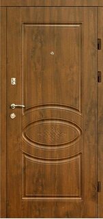 Входная дверь 210